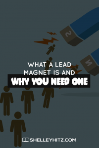 What is a lead magnet