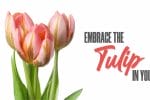 embrace-the-tulip-in-you